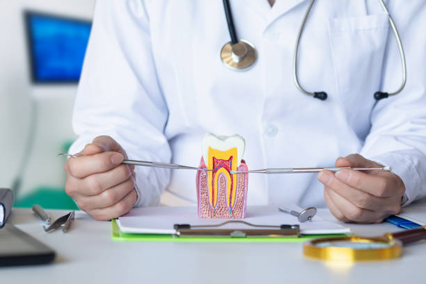 Best Knocked-Out Tooth Emergency  in New Lenox, IL